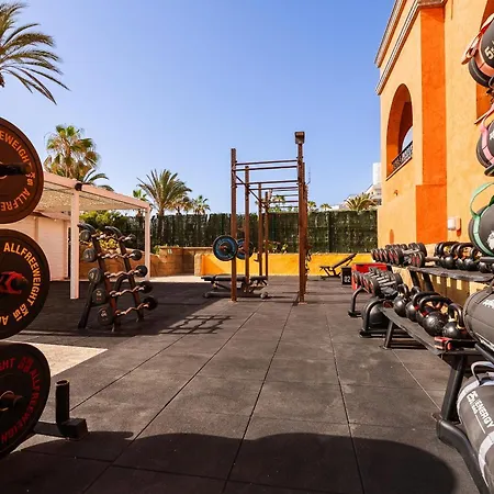 ヨーロッパ コルテス Gl